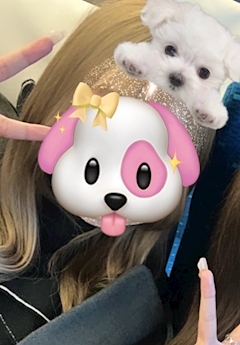 プロフィール写真1・かな｜MERCI・メルシー - 学芸大学前駅のガールズバー