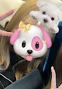 かな