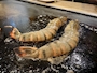 新着ブログ 🦐