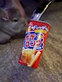chiko