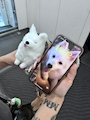 chiko
