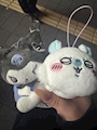 chiko