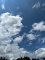 新着ブログ 🌞🪦🙏