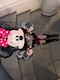 プロフィール写真4・ゆいか|SERENA・セレナ - 名古屋 錦のスナック