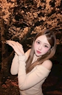 新着ブログ 夜桜🌸