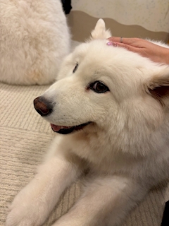 ゆい