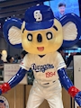 新着ブログ ˚·༊