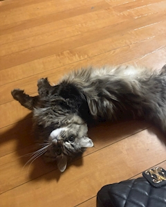 なの
