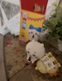 chiko