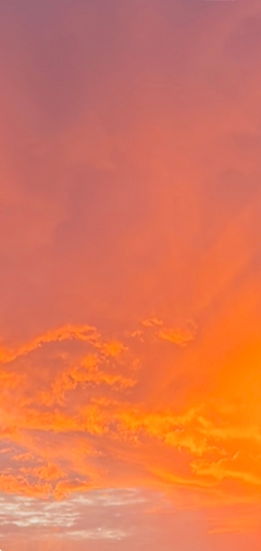 🌆
