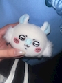 chiko
