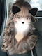プロフィール写真3・ユミ|EPSILON・イプシロン - 中川区 高畑のキャバクラ