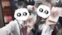 chiko