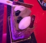 新着ブログ おぼん