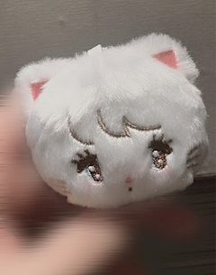 のあ