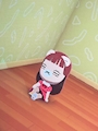 chiko