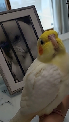 愛瀬あみ