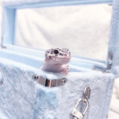 プロフィール写真5・しあ🐈‍⬛‪︎❤︎‪︎｜GALSBAR&LOUNGE・ギャルズバー - 池袋東口のガールズバー