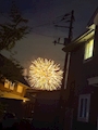 新着ブログ 🎇