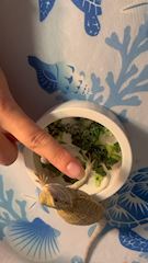 新着ブログ 1021