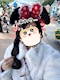 プロフィール写真2・りん|Casual bar 88・ハチハチ - 浜松のキャバクラ