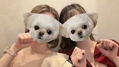 きづな「出勤だーい！」