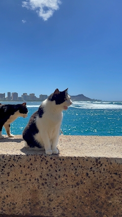 プロフィール写真3・あおい【Club RANKA】｜CLUB RANKA・ランカ - 千葉・富士見町のキャバクラ