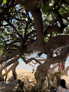 プロフィール写真4・あおい【Club RANKA】｜CLUB RANKA・ランカ - 千葉・富士見町のキャバクラ