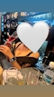 プロフィール写真1・あい｜Refuge clair・ルフージュ クレール - 三重 四日市のスナック