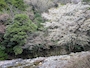 りえ