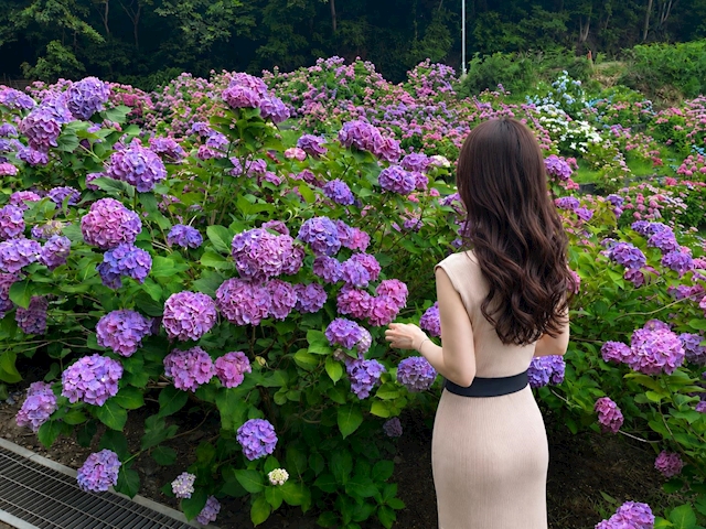 プロフィール写真1・春風みさ｜