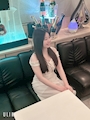 はるの