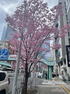 いろは✨ 零 川崎店
