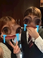 檜輝