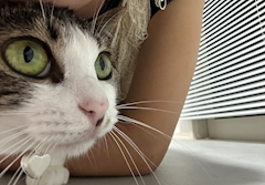 プロフィール写真1・みずき｜カラオケスナック 凛々・リリ - 中目黒のパブ/スナック