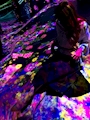 らん