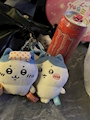 chiko