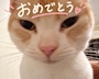 新着ブログ みんなおめ💐🤍
