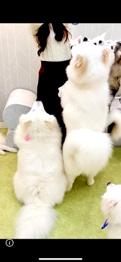 さいり「🐴明けましておめでとうございます🐴」