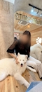 プロフィール写真2・朝日奈 雅｜HANARE by EMIRAI・ハナレ バイ エミライ  - 鹿児島県・天文館のキャバクラ