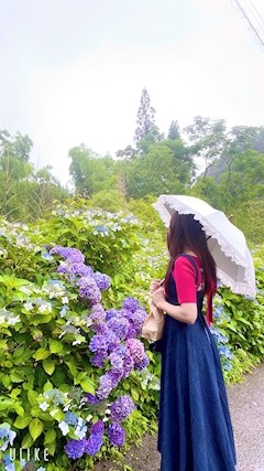 プロフィール写真15・朝日奈 雅｜HANARE by EMIRAI・ハナレ バイ エミライ  - 鹿児島県・天文館のキャバクラ