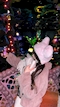 プロフィール写真1・はいね|娘娘堂・ニャンニャンドウ - 桜木町・野毛のコンカフェ