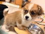 新着ブログ ついに🥰