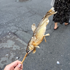 めい