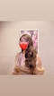 プロフィール写真6・とおこ|PHANTOM・ファントム - 石橋のガールズバー
