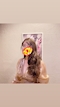プロフィール写真4・とおこ|PHANTOM・ファントム - 石橋のガールズバー