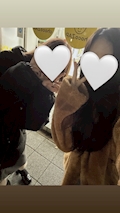 あん