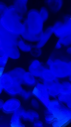 プロフィール写真1・まり|CLUB 詩季・シキ - 大宮/南銀の朝・昼キャバ