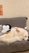 プロフィール写真1・💜あい下北沢io🤍|下北沢 キャバクラ・イオ