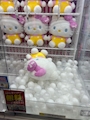 新着ブログ しゅ